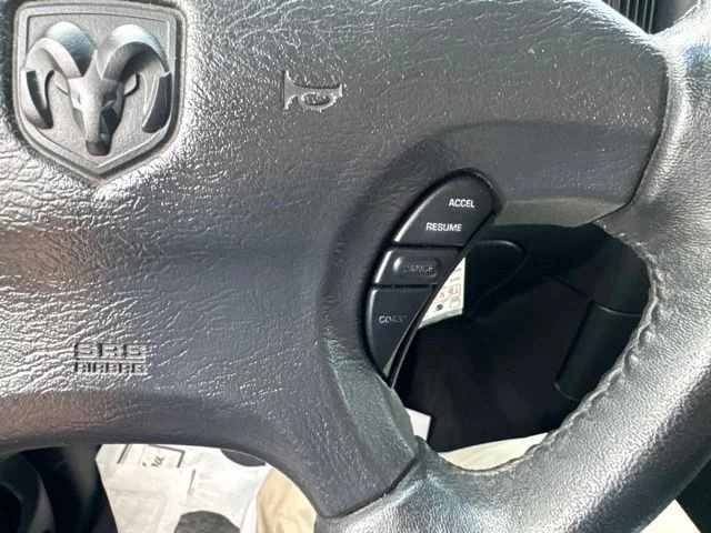 Used 2002 Gold Dodge SLT image 20