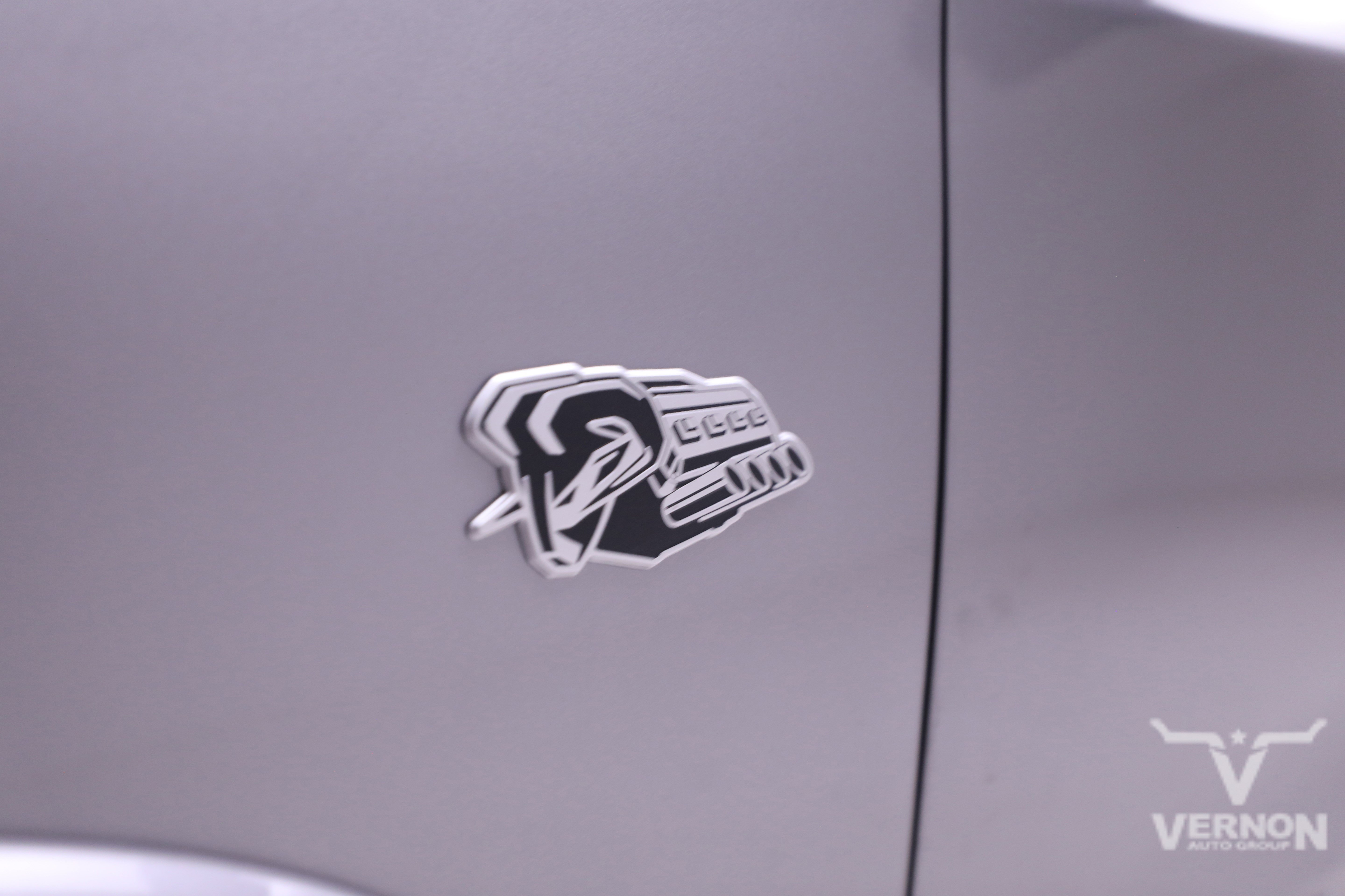 New 2026 Billet Silver Metallic Clearcoat Ram N image 41
