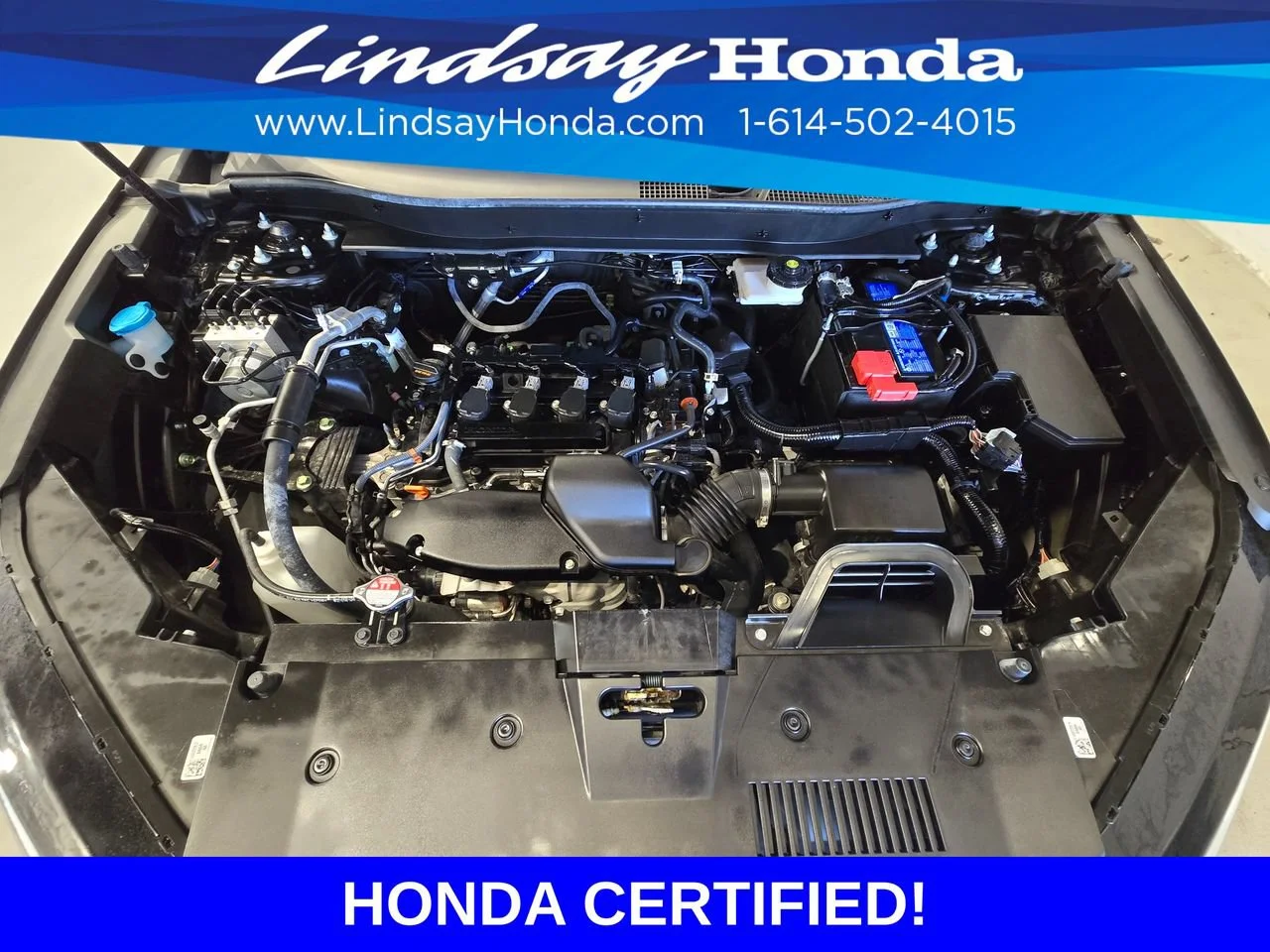 Certified Used 2025 Crystal Black Pearl Honda LX image 57