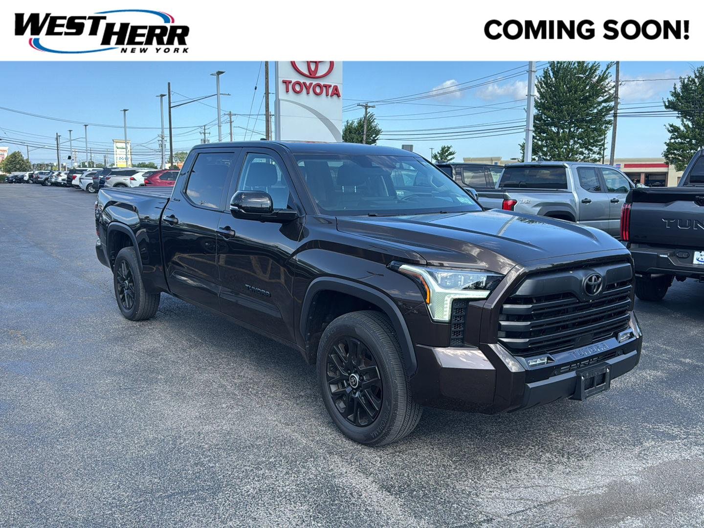 Used 2024 Smoked Mesquite Toyota Limited image 1