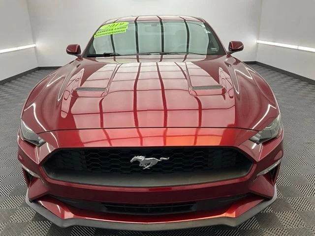 Used 2019 Red Ford EcoBoost image 2