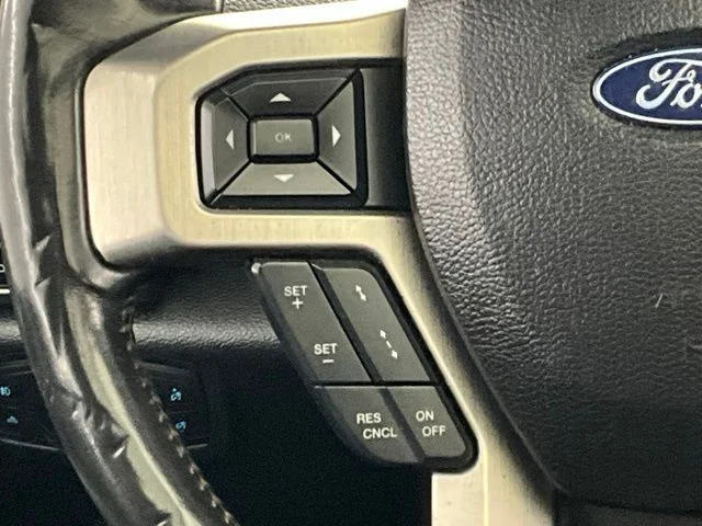 Used 2020 Black Ford Platinum image 23