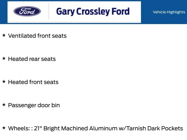 New 2026 Carbonized Gray Metallic Ford Platinum™ image 26