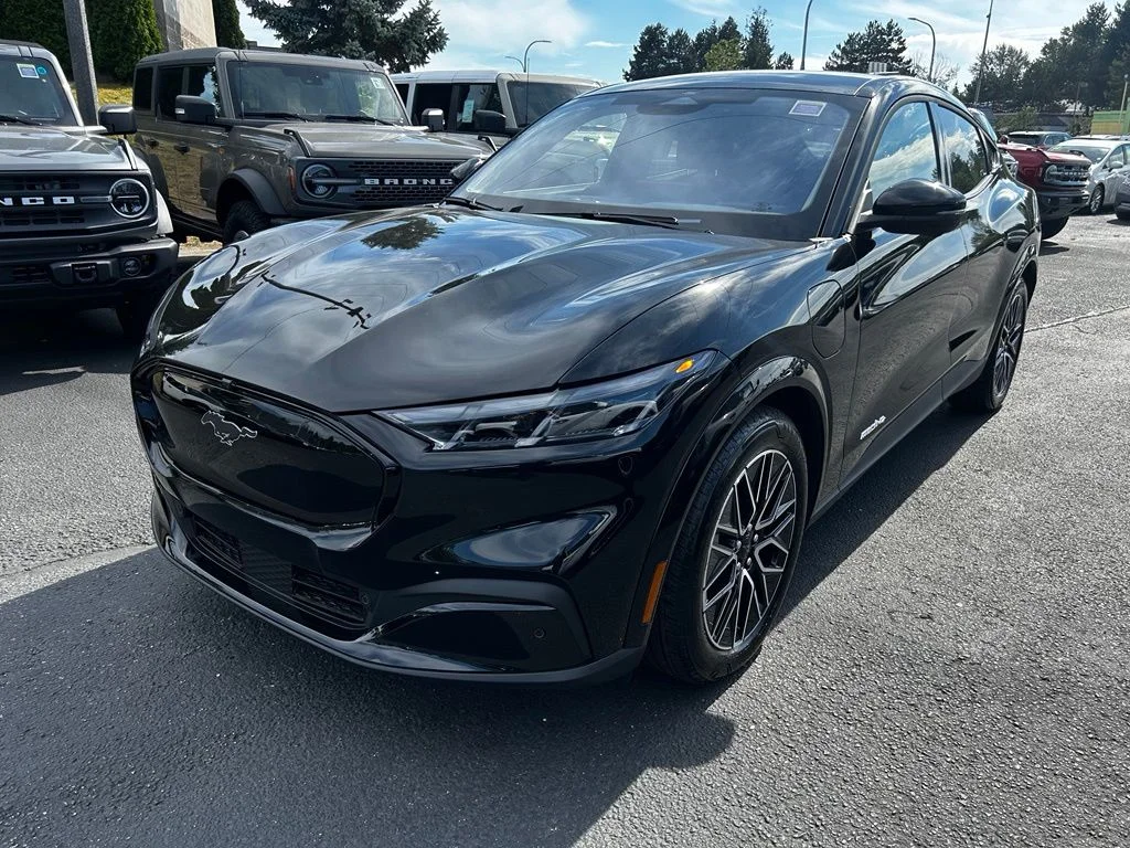 New 2026 Shadow Black Ford Premium image 5