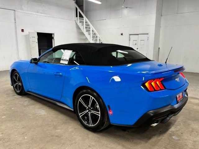Used 2025 Blue Ford EcoBoost Premium image 5