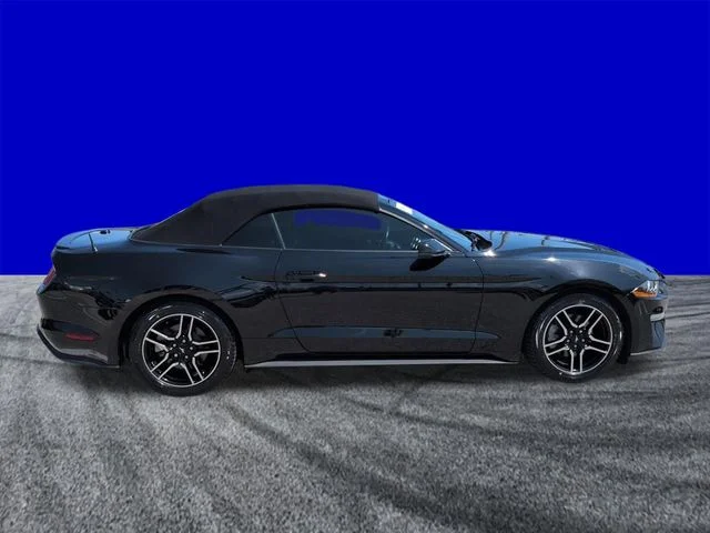 Used 2019 Black Ford EcoBoost Premium image 3