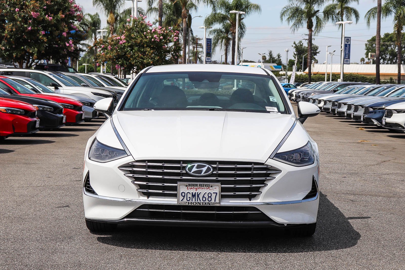 Used 2023 Serenity White Hyundai SEL image 2