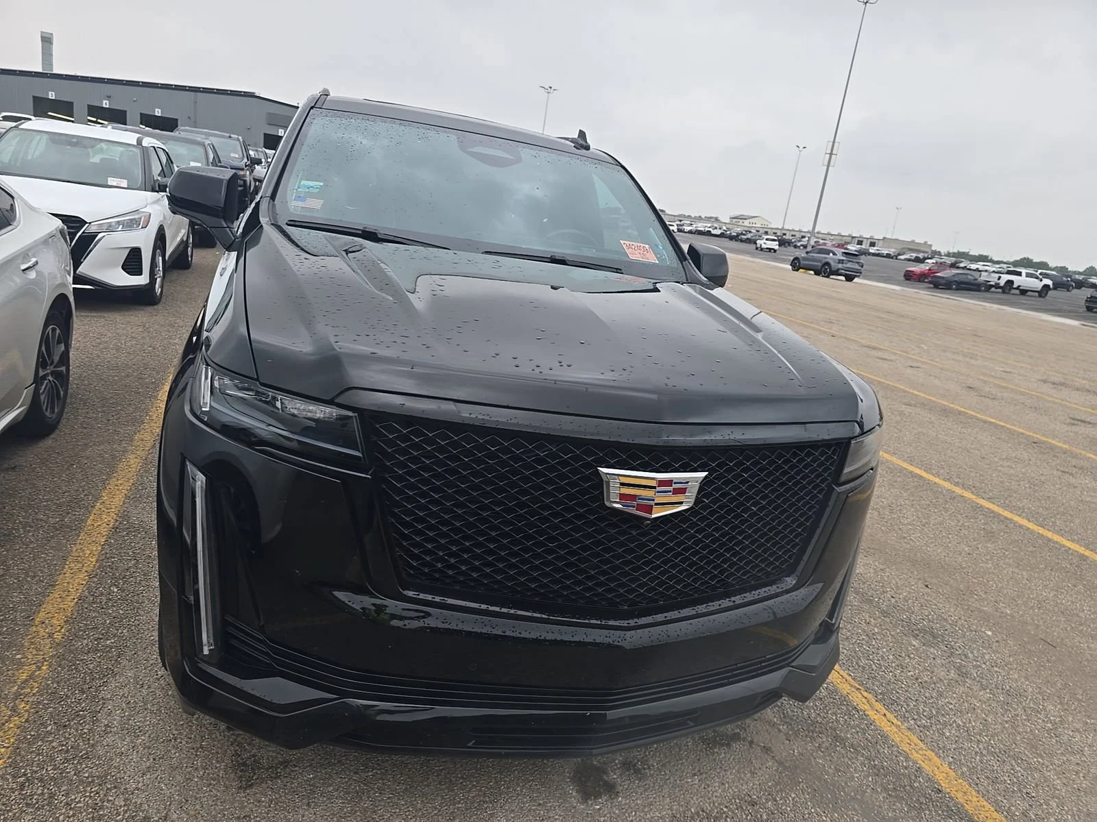 2024 Cadillac Escalade 4WD Sport Platinum's photo