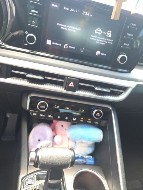 Used 2022 Gray Kia LXS image 6