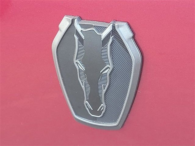 2025 Ford Mustang Dark Horse - Photo 19