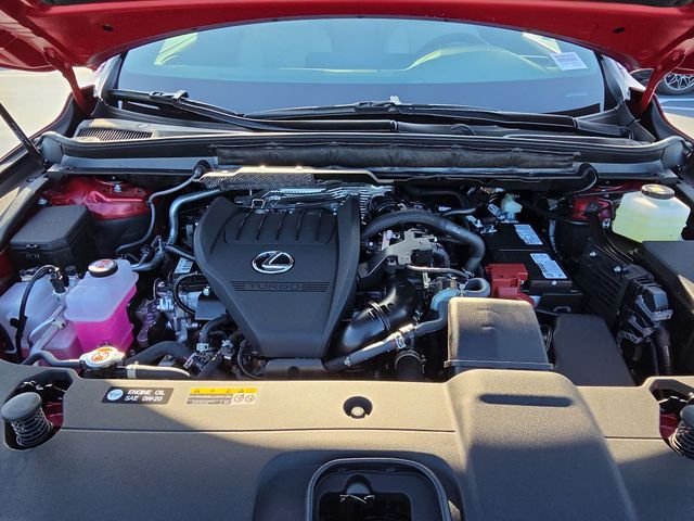 New 2026 Matador Red Mica Lexus PREMIUM image 26