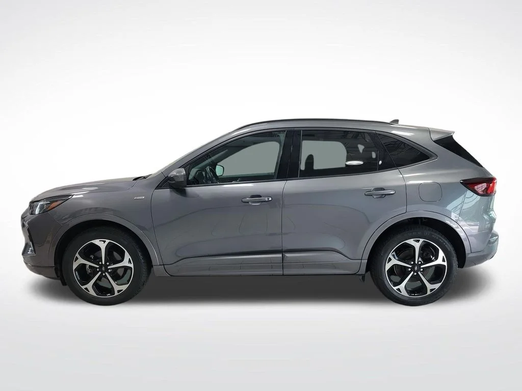 Used 2023 Gray Ford ST-Line Elite image 4