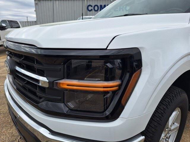 2025 Ford F-150 XLT - Photo 10