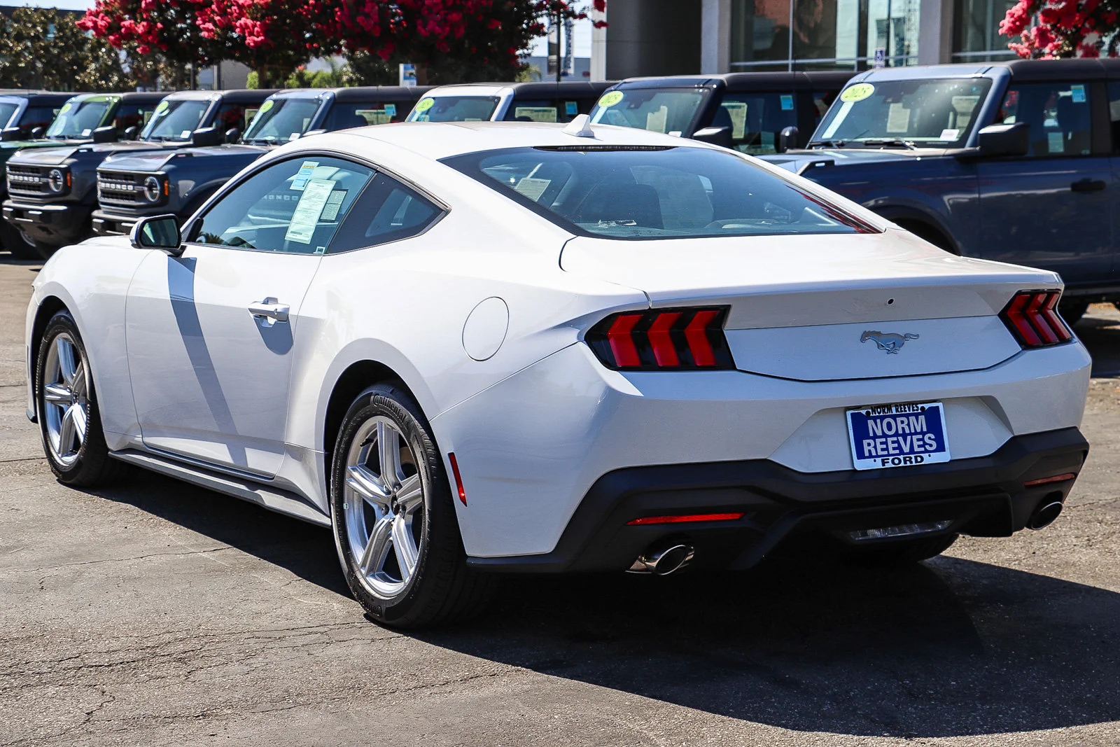 New 2026 Oxford White Ford EcoBoost® Fastback image 8