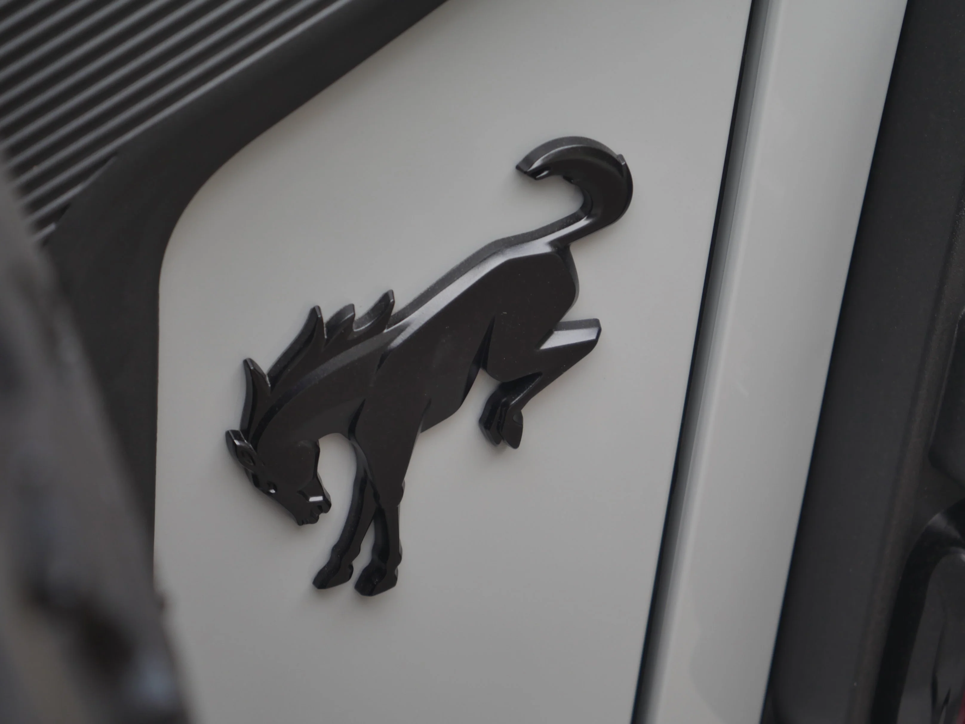 New 2026 Avalanche Gray Ford Raptor image 26