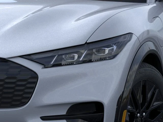 New 2026 Gray Ford Premium image 18