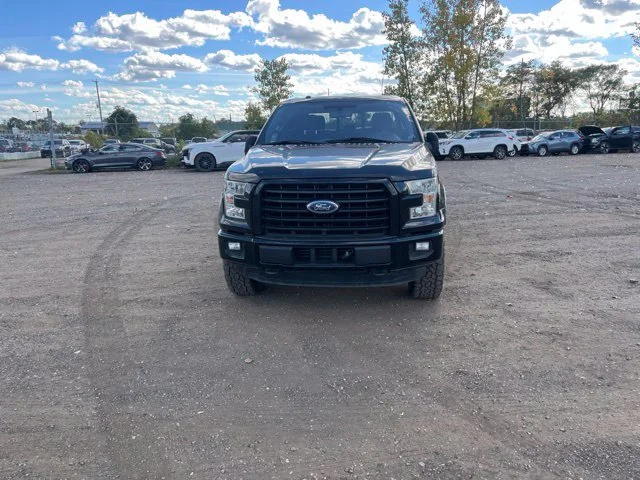 Used 2016 Black Ford XLT image 3
