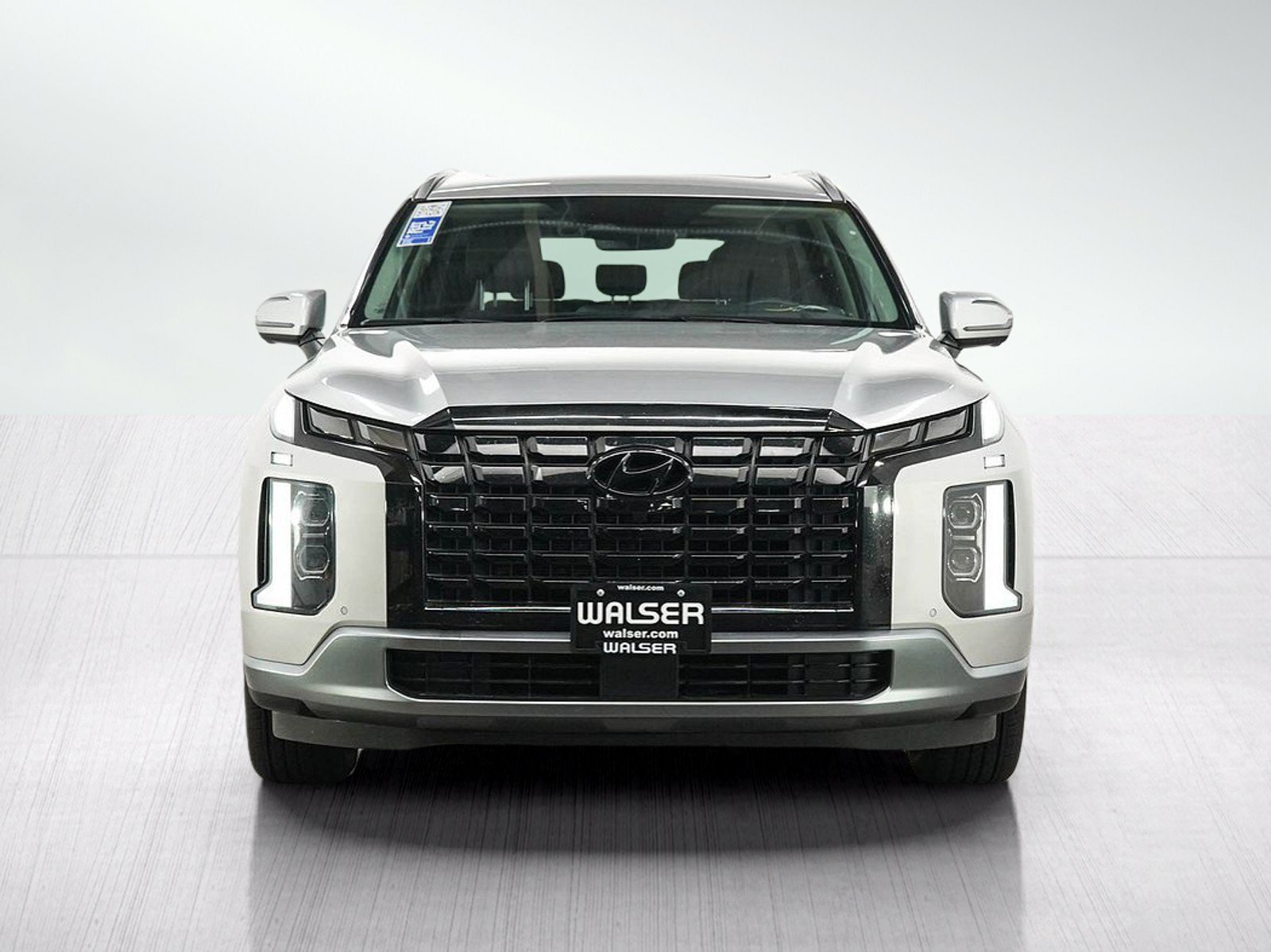 2025 Hyundai Palisade Limited - Photo 9