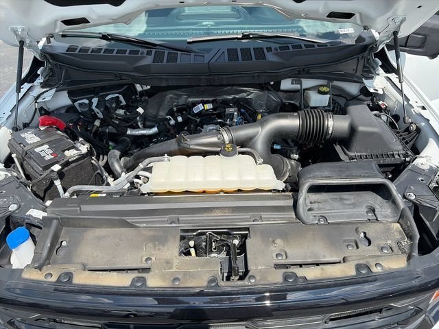 Used 2024 White Ford XLT image 21