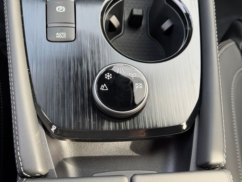 New 2026 Deep Ocean Blue Pearl Nissan Platinum image 29