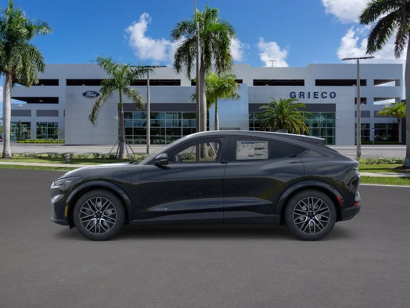 New 2026 Shadow Black Ford Premium image 18