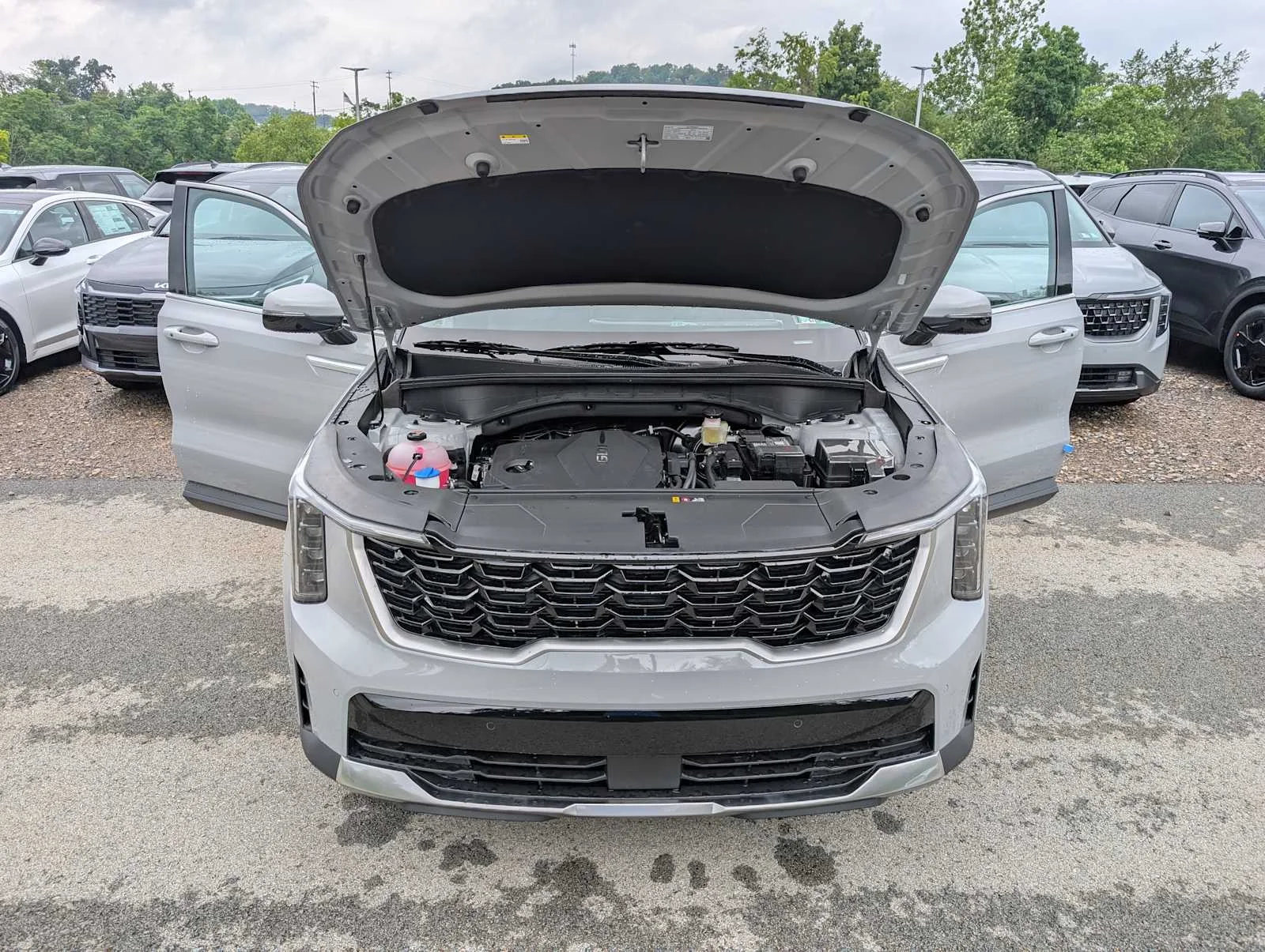 New 2026  Kia S image 10