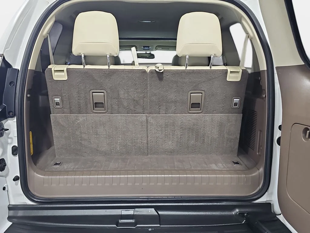 Used 2019 White Lexus 460 image 14