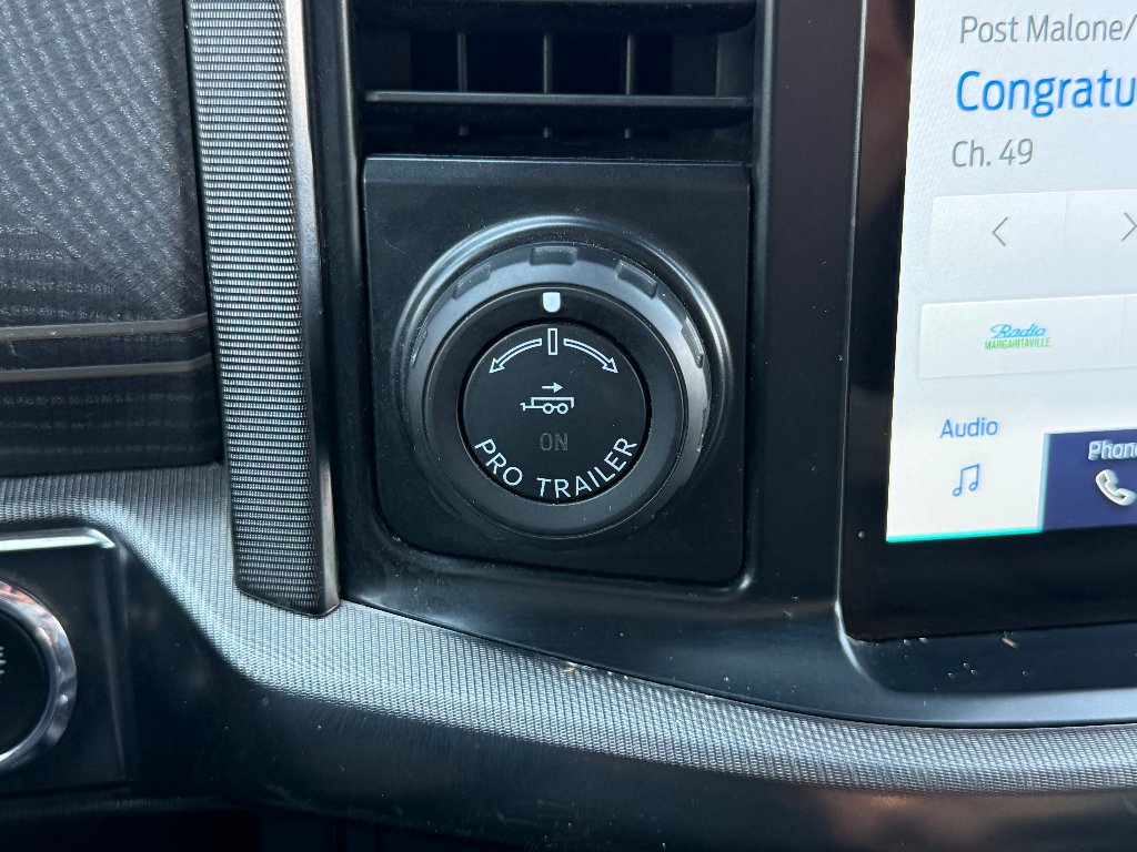 Used 2021 Carbonized Gray Metallic Ford Platinum image 28