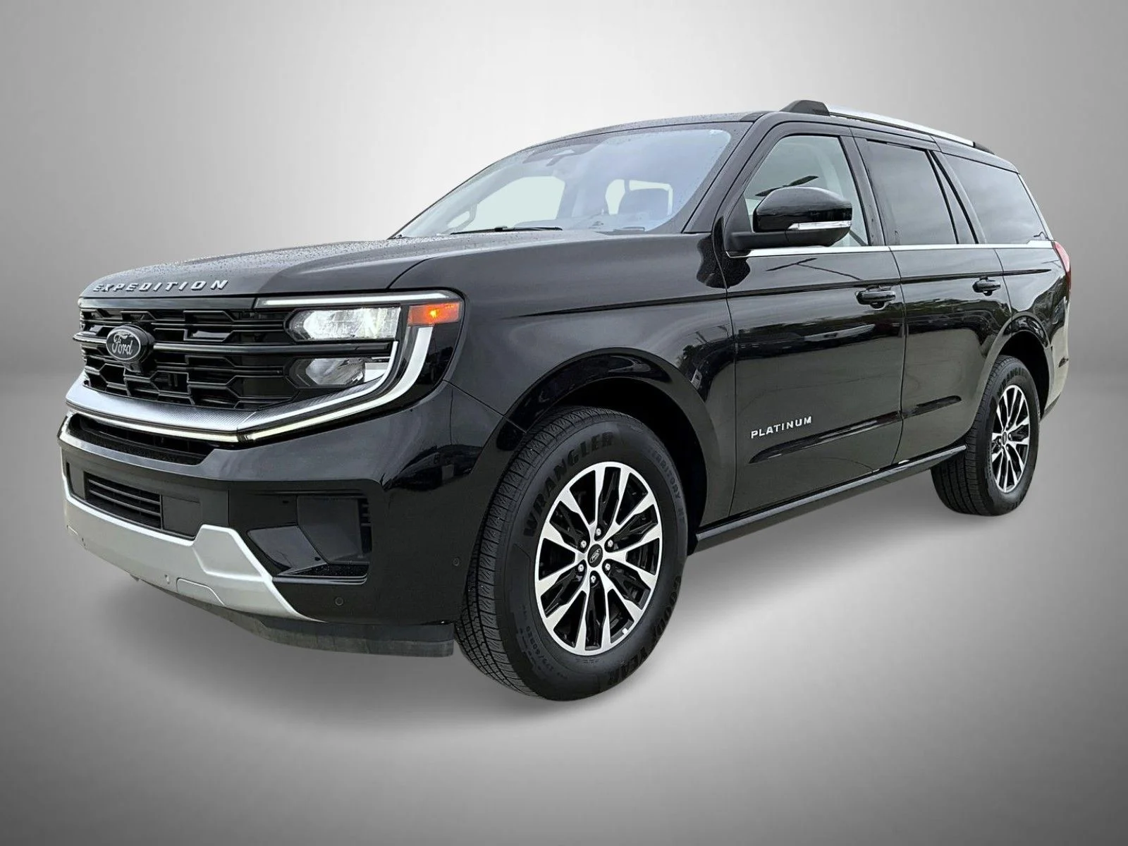2025 Ford Expedition Platinum 4x4's photo