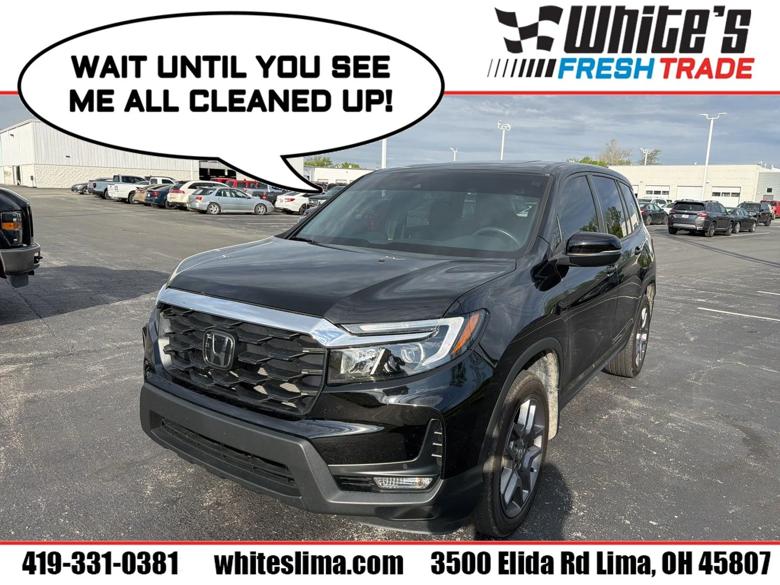 2023 Honda Passport 3.5 EX-L 4WD Auto's photo