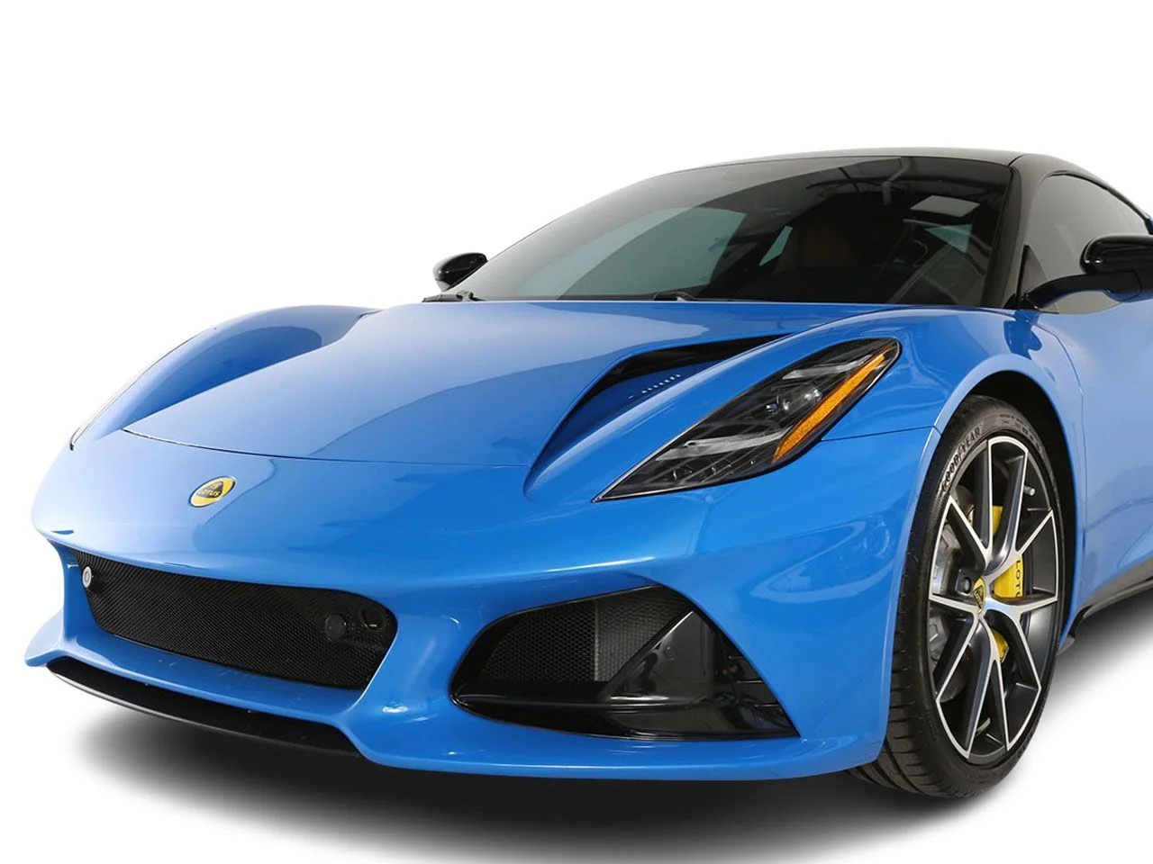 Used 2024 Blue Lotus  image 3