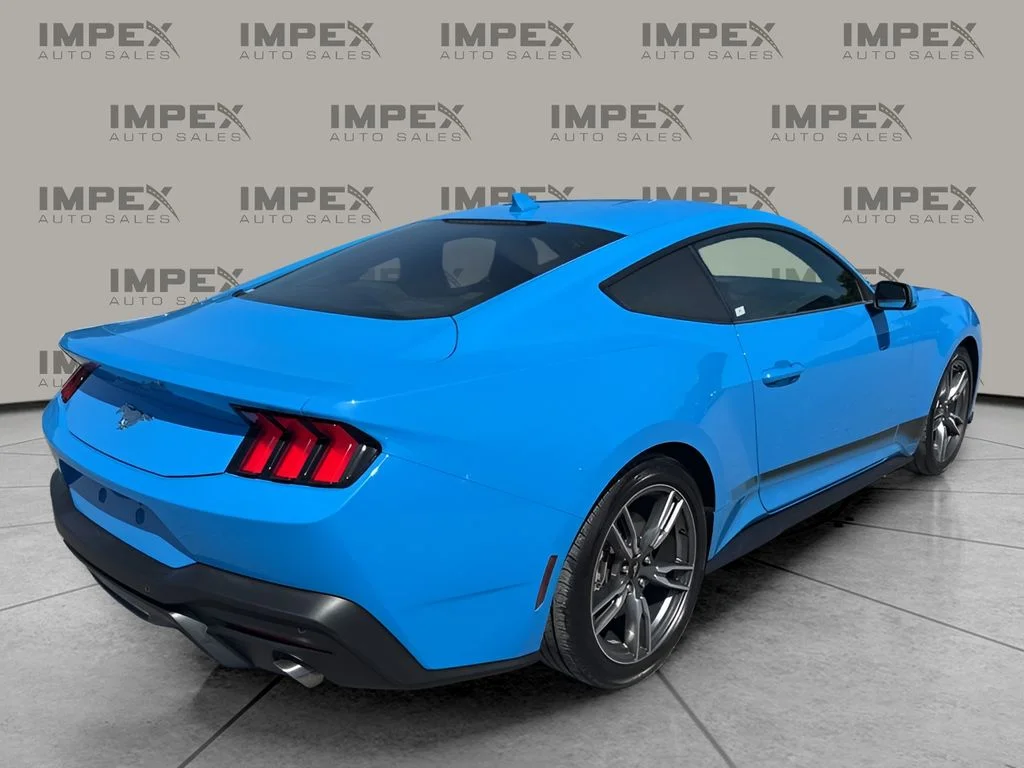 Used 2024 Blue Ford EcoBoost image 5