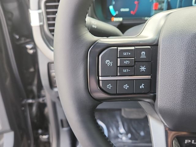 2025 Ford F-250 Super Duty Platinum - Photo 15