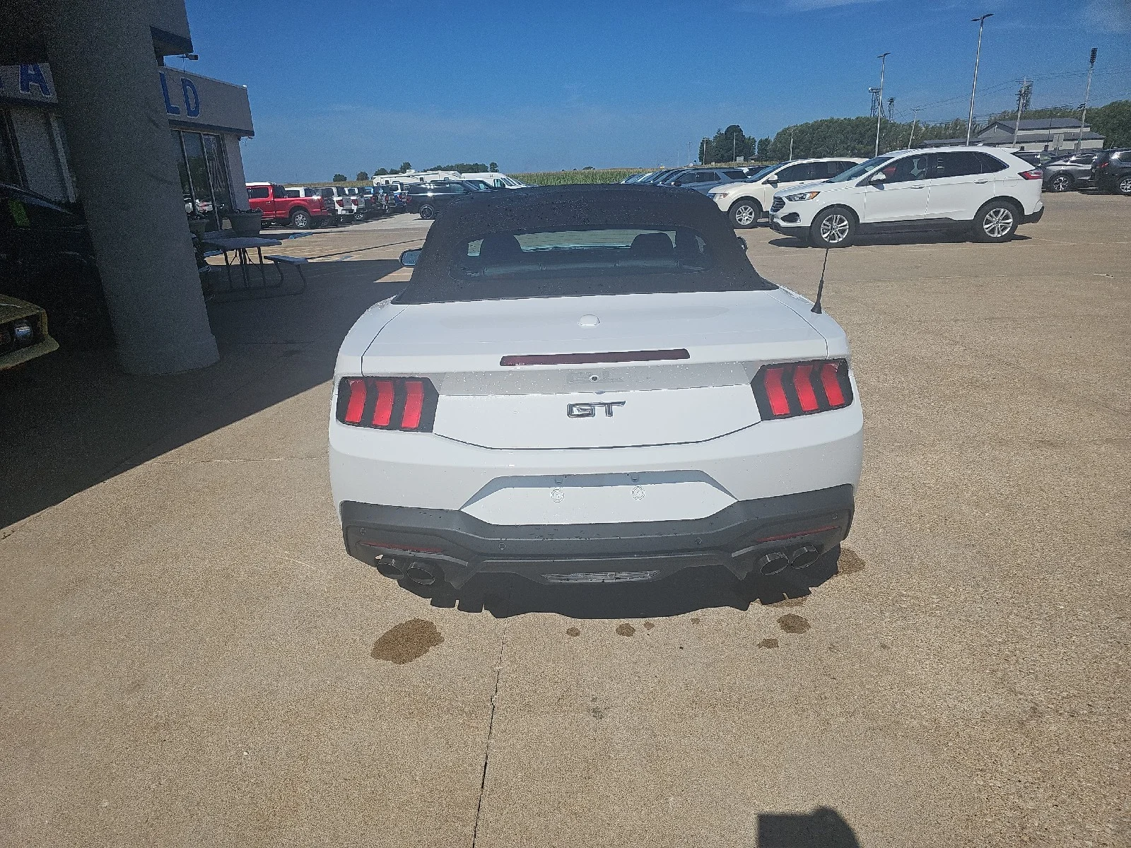 New 2026 Oxford White Ford GT Premium Convertible image 9
