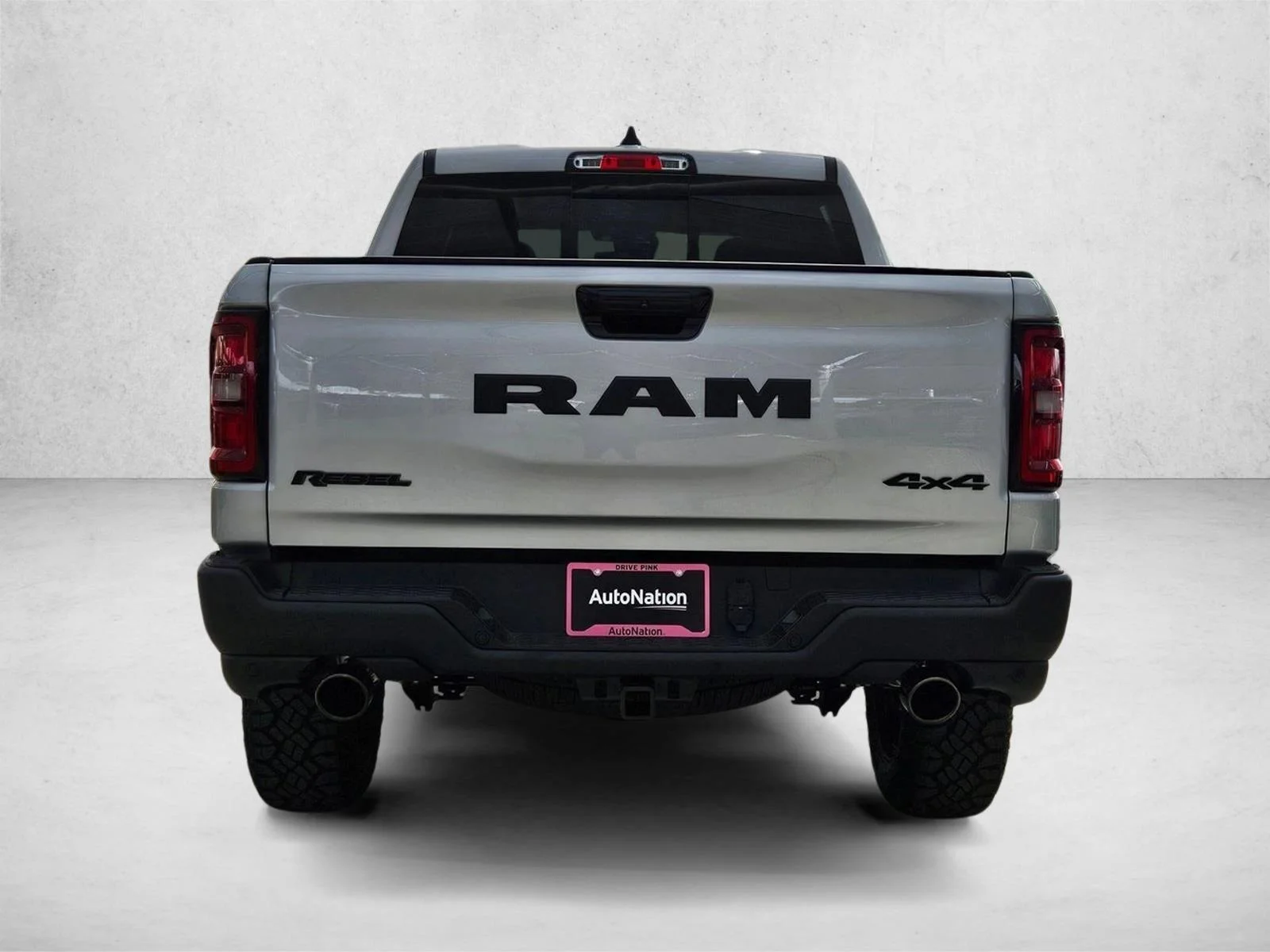 New 2026 Silver Zynith Exterior Paint RAM Rebel image 8