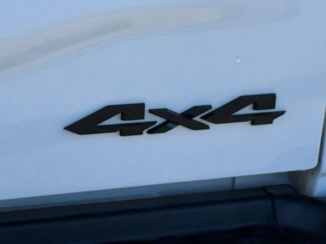 Used 2026 White Ram Limited image 10