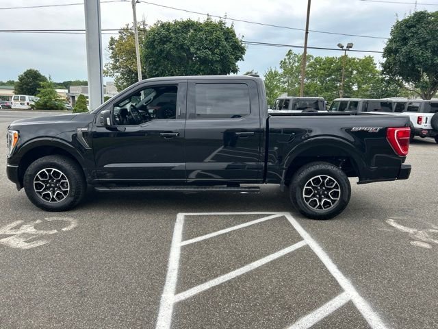 Used 2023 Black Ford XLT image 4
