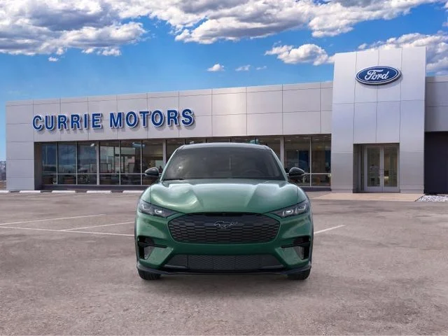 New 2026 Eruption Green Metallic Ford Premium image 28