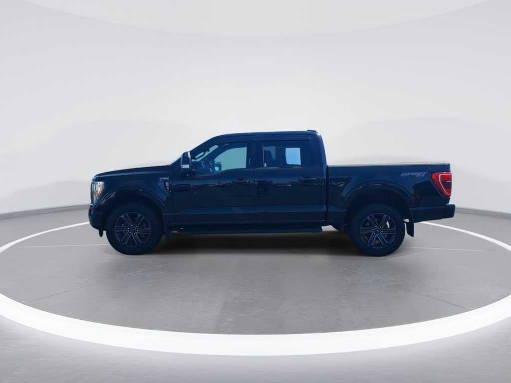Used 2022 Black Ford XLT image 5