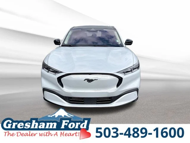 2022 Ford Mustang-Mach-e Premium's photo
