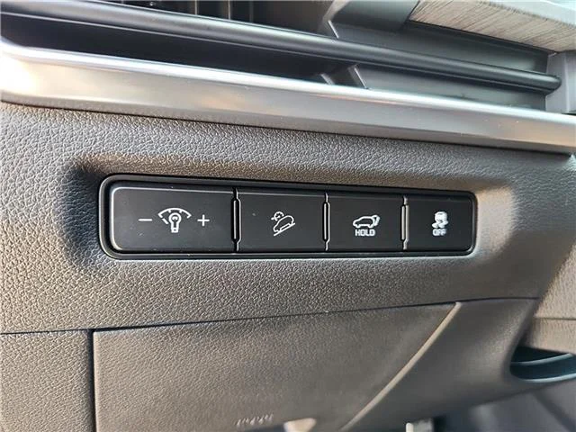 Used 2024 Dark Moss KIA SX-Prestige All-Wheel Drive image 12