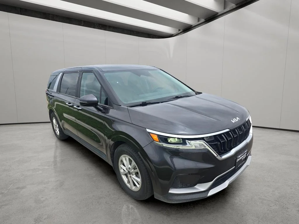 Used 2022 Pantera Metal Kia LX image 7