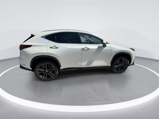 2025 Lexus NX PHEV 450h+ - Photo 9
