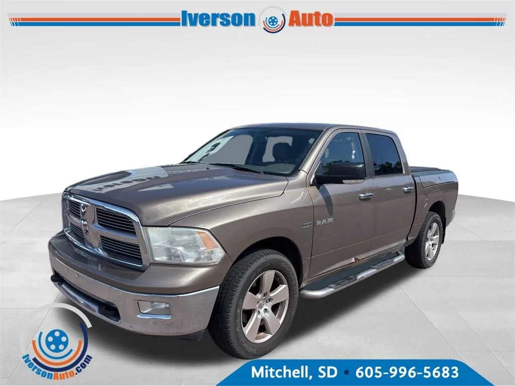 Used 2009 Beige Dodge SLT image 3