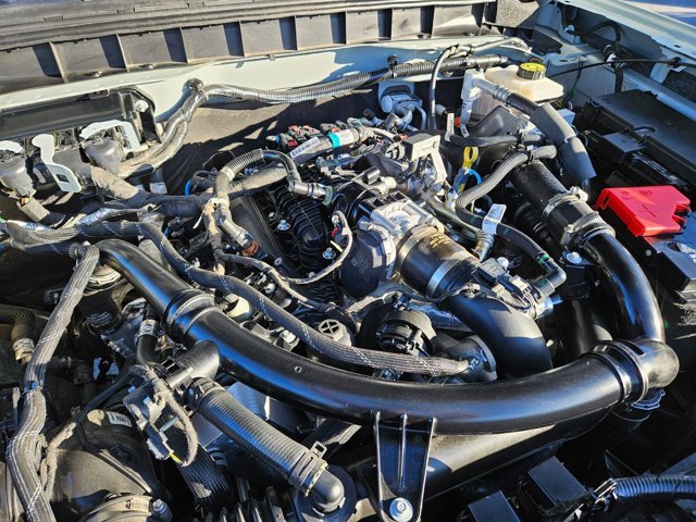 Used 2024 Cactus Ford Badlands image 68