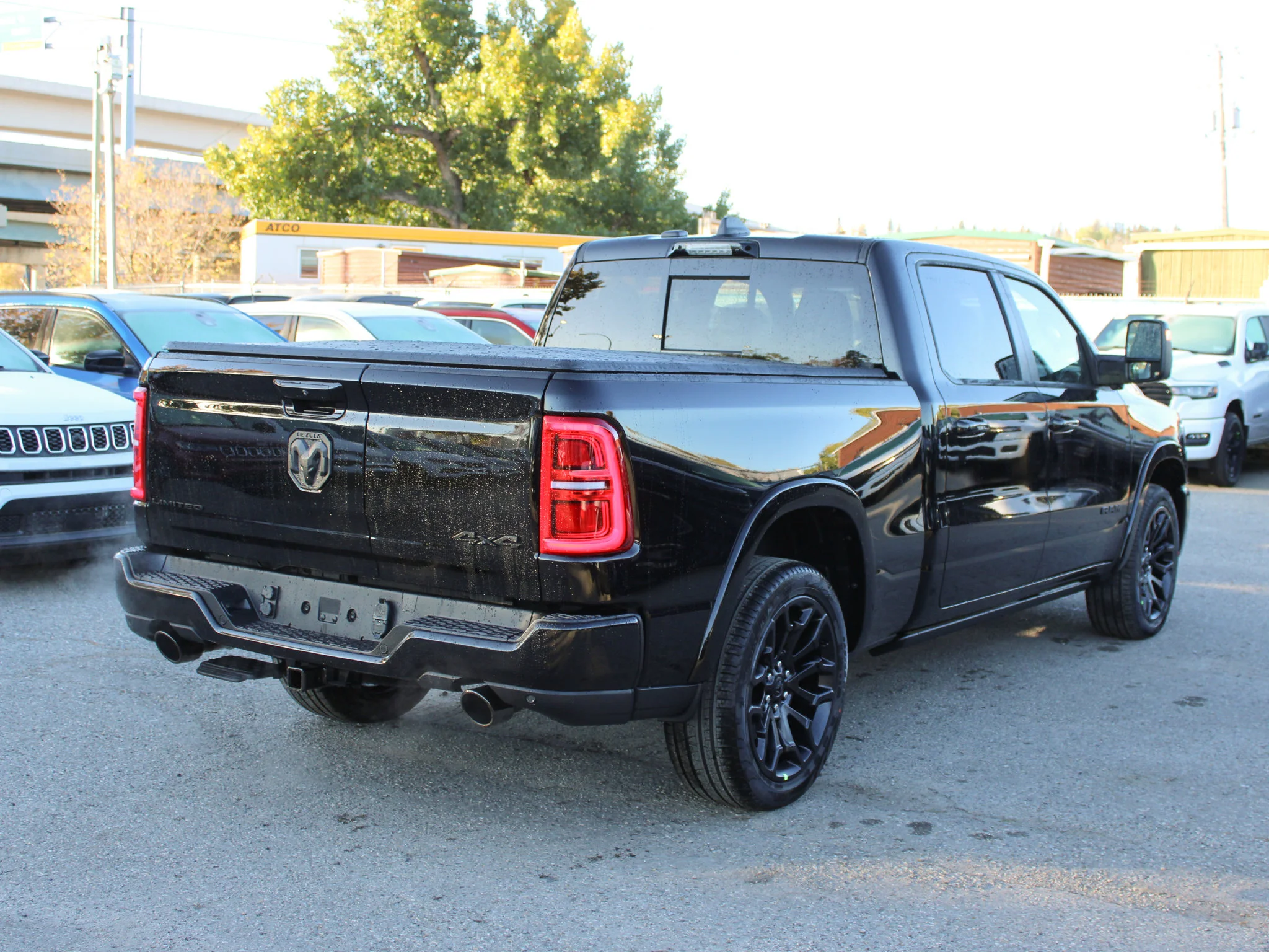 Used 2026 Black RAM Limited* image 5