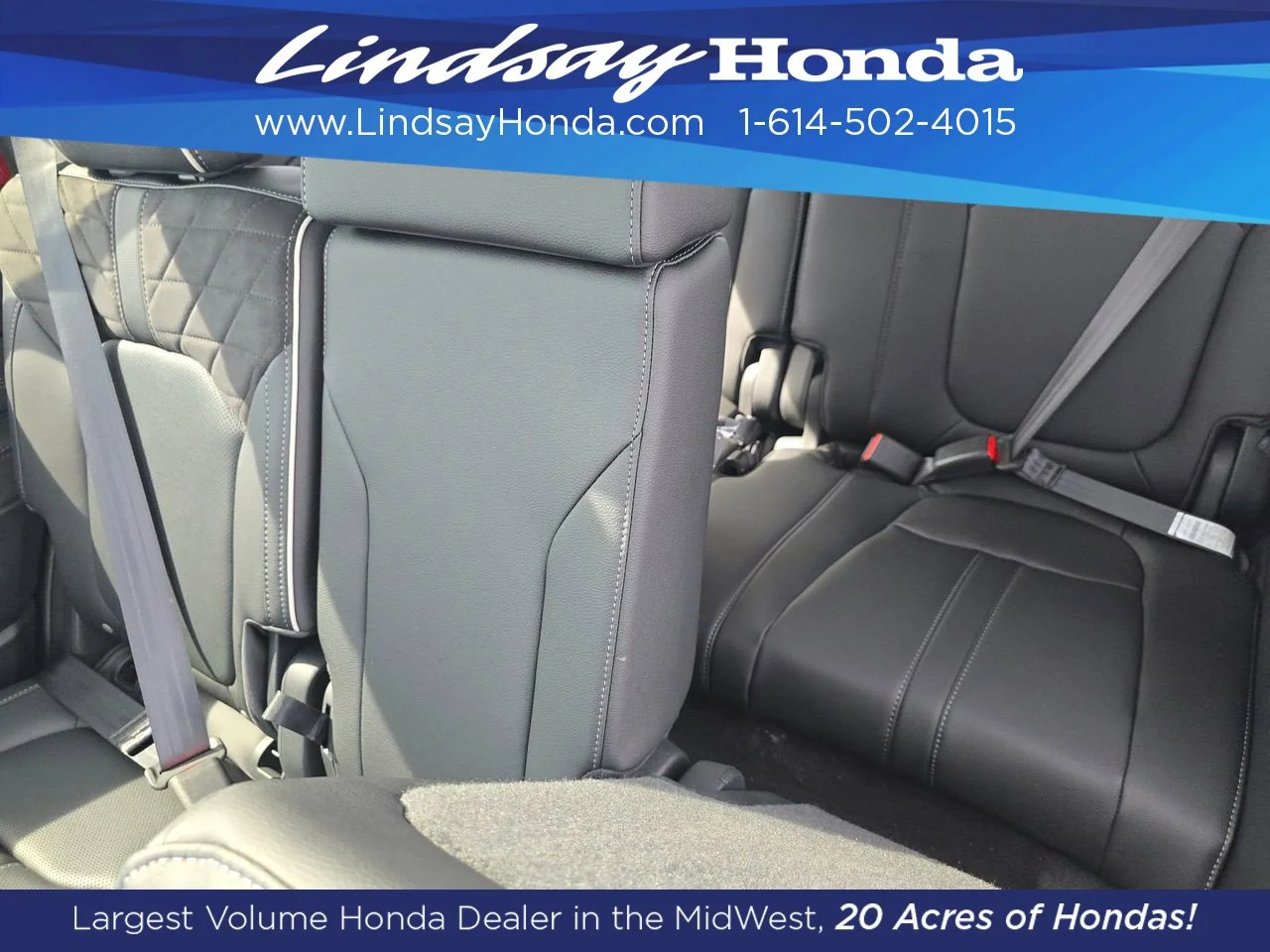 New 2026 Sonic Gray Pearl Honda Elite image 4