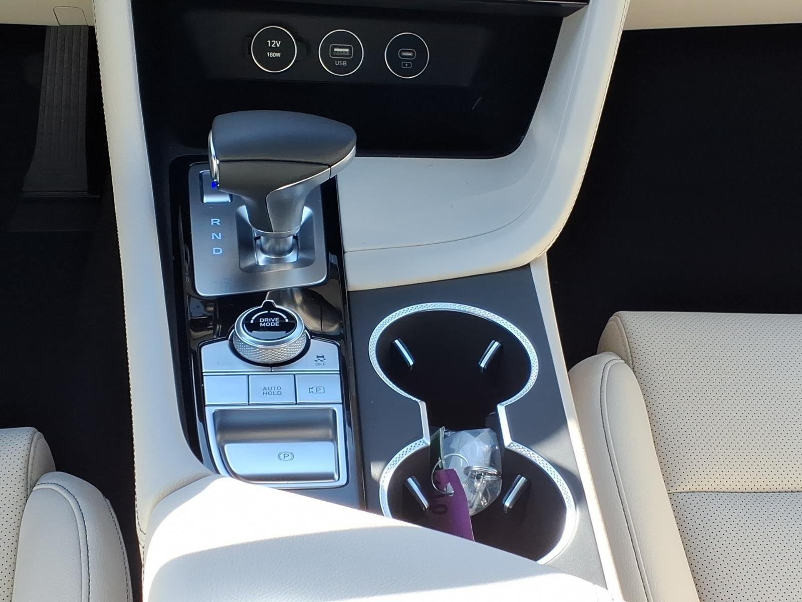 New 2026 Vik Black Genesis 2.5T image 23