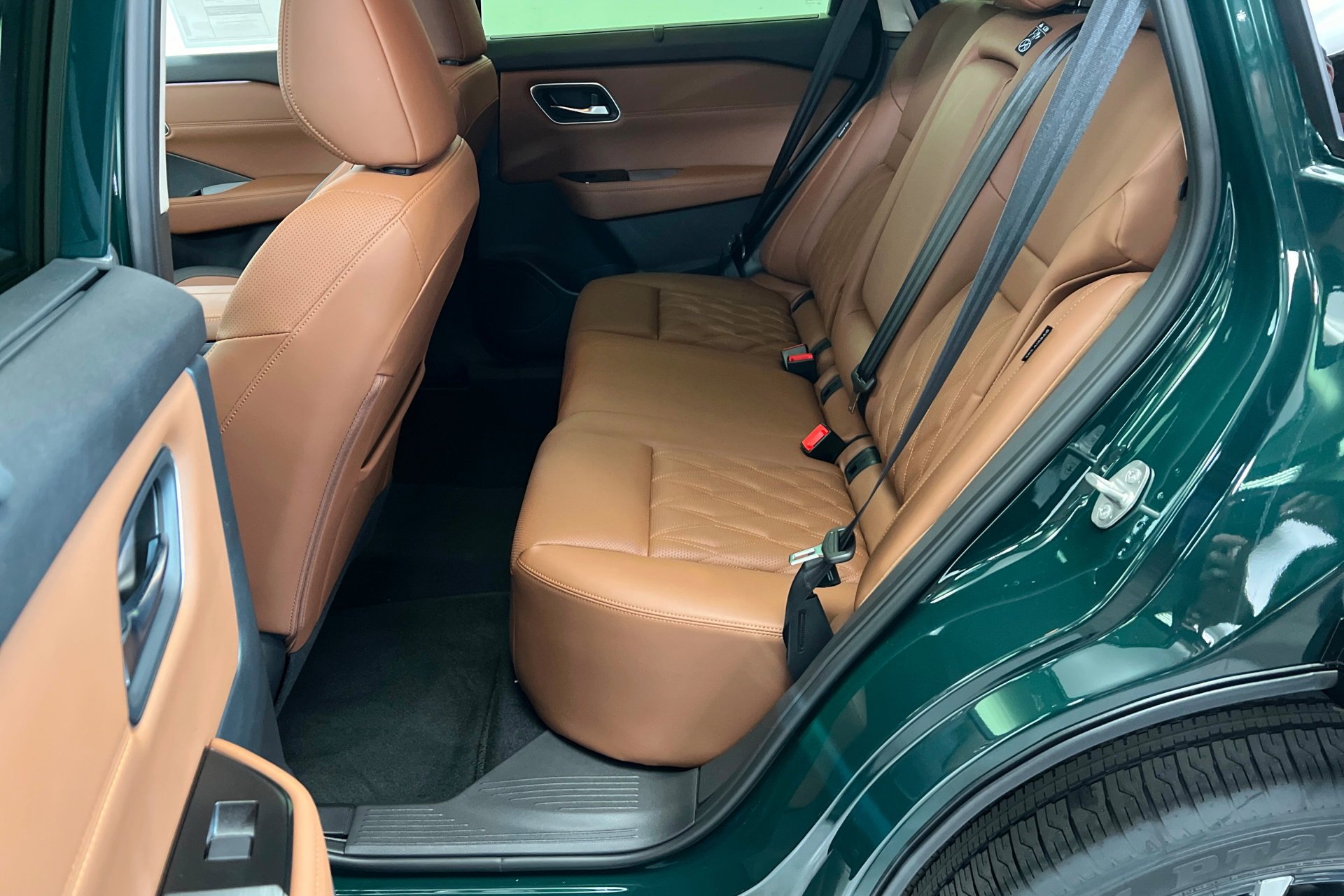 New 2026 Obsidian Green Pearl Nissan Platinum image 22