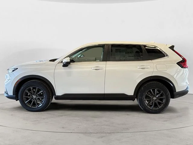 New 2026 Platinum White Pearl Honda EX-L image 2